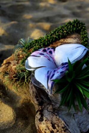 Bloom Stem - Image 3