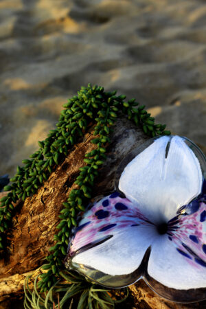 Bloom Stem - Image 4