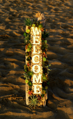 Pacific Welcome
