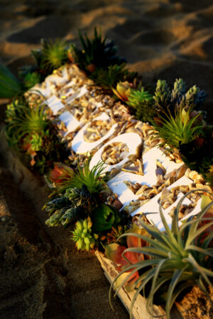 Pacific Welcome - Image 3
