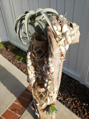 Star Stem - Image 3