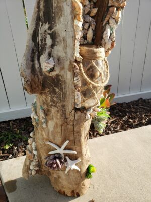 Star Stem - Image 4