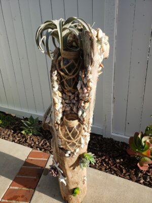 Star Stem - Image 5