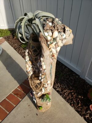 Star Stem - Image 6